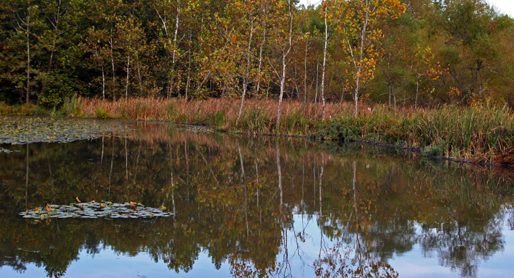 CUYAHOGA VALLEY NP, OHIO