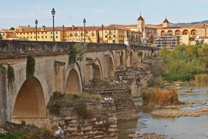 ROMAN  BUILT BRIDGE