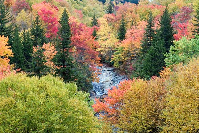 October 10 - Blue Ridge Parkway / Hwy 215 area