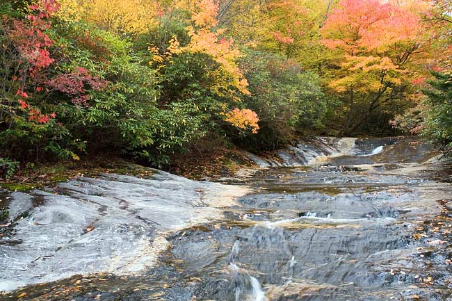 Bubbling Springs Branch Cascade 5