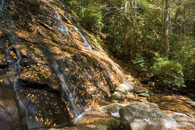 Cove Creek Falls 3