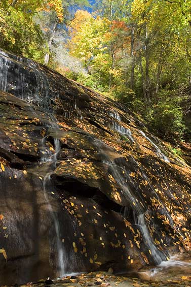 Cove Creek Falls 4
