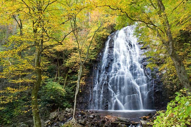 Crabtree Falls 3