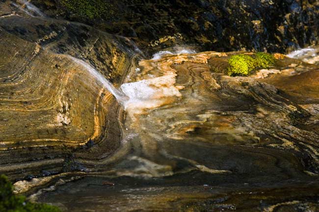 Upper Courthouse Creek 6