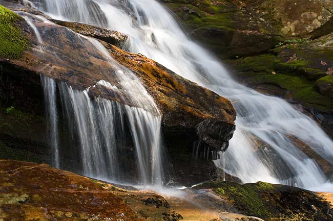 Upper Courthouse Creek 8