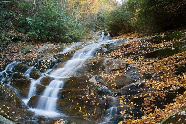 Waterfall on Sam Branch