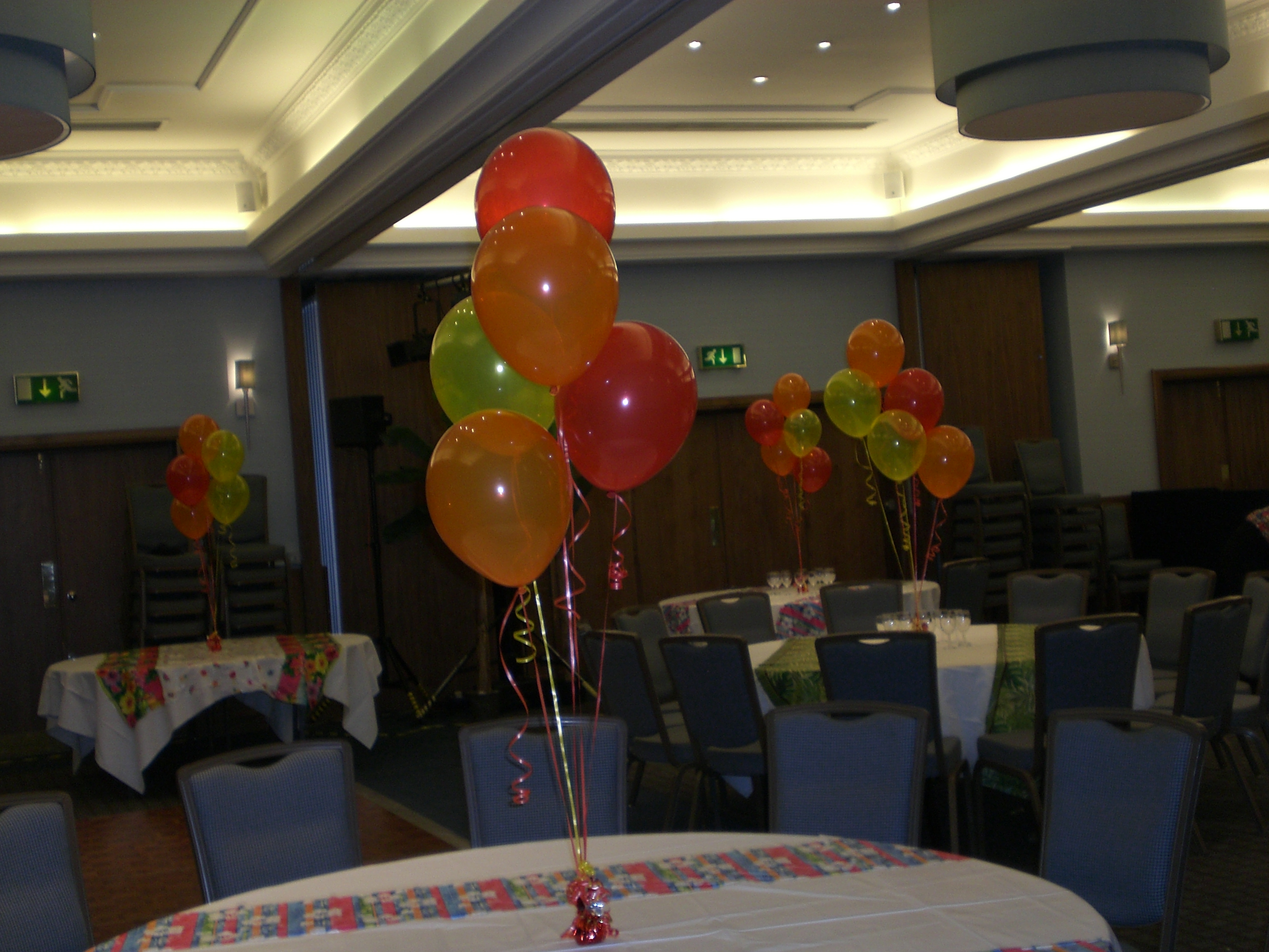 st davids hotel 11 07.07.09.JPG