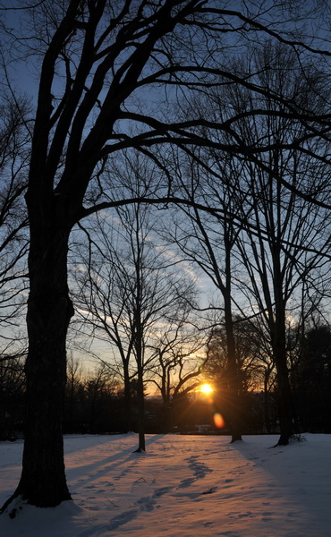 DSC_9449.JPG