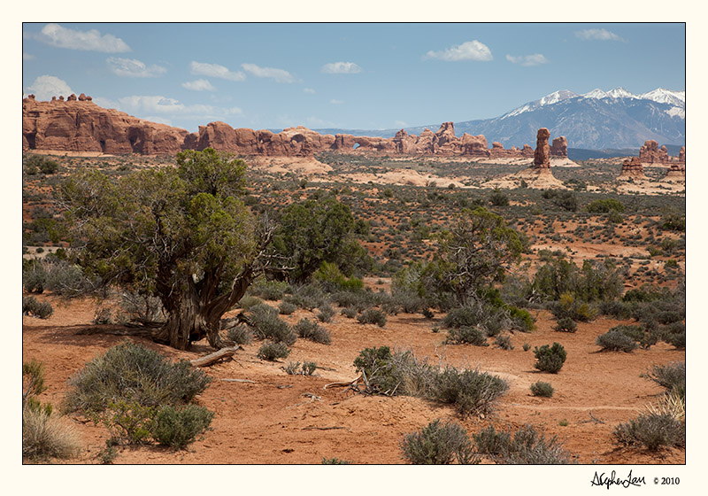 20100509_Arches_0047.jpg