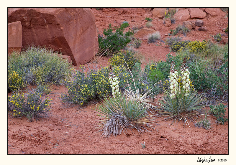 20100509_Arches_0085.jpg