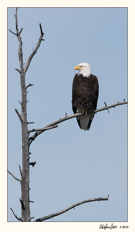 20100521_Yellowstone_0029.jpg