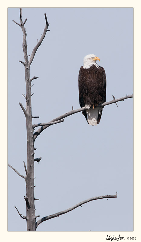 20100521_Yellowstone_0043.jpg