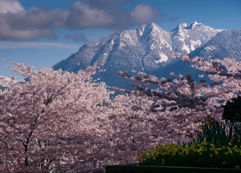 20110407_Vancouver_0011.jpg