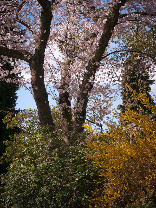 20110411_Vancouver_0142.jpg