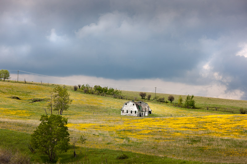 20110607_Kananaskis_0004.jpg