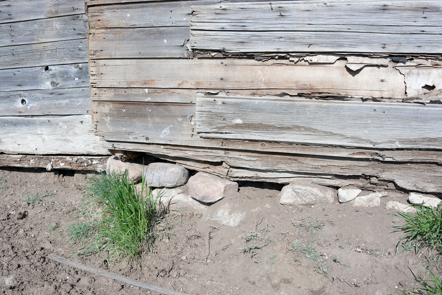 20110610_Lone Butte_0049.jpg