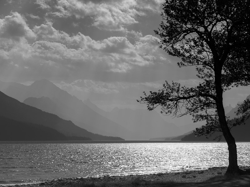 20120929_Waterton_0368.jpg