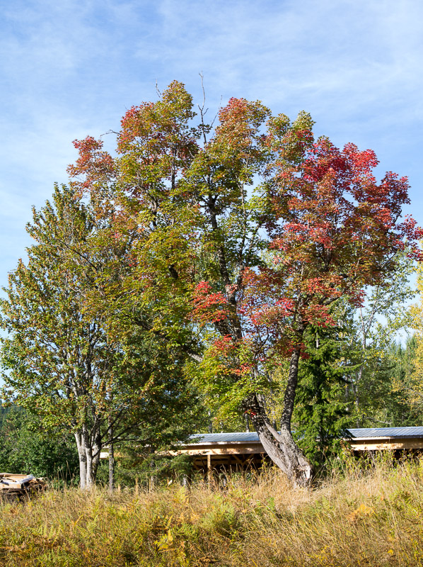 20120930_Alberta BC_0080.jpg