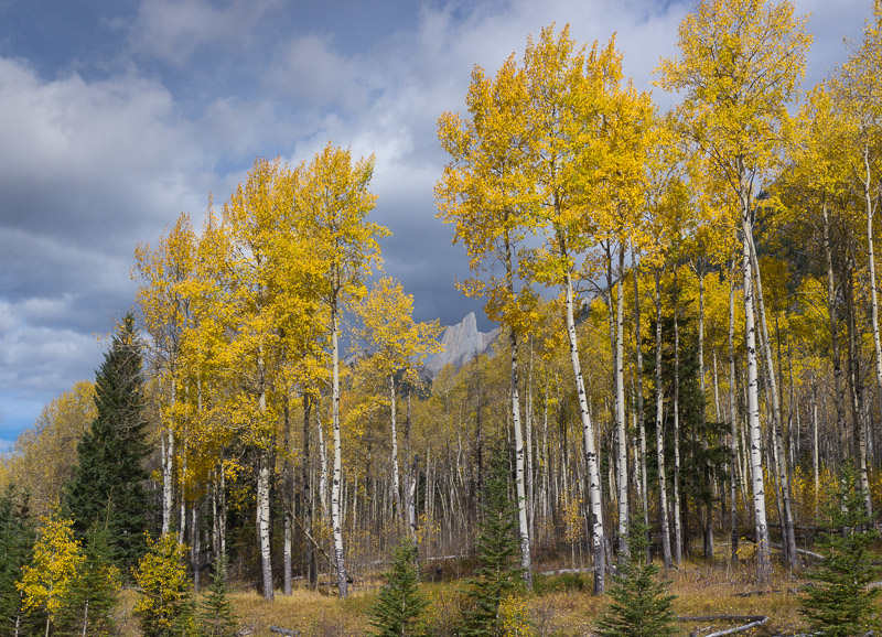 20121001_Alberta BC_0240.jpg