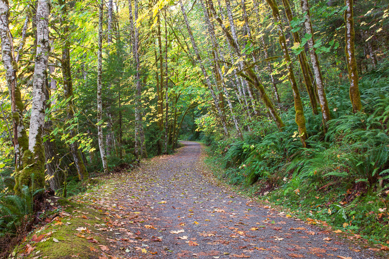 20121015_Stamp Falls_0084.jpg