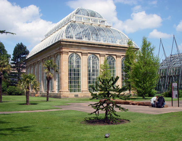 Royal Botanic Garden, Conservatory  -  Edinburgh