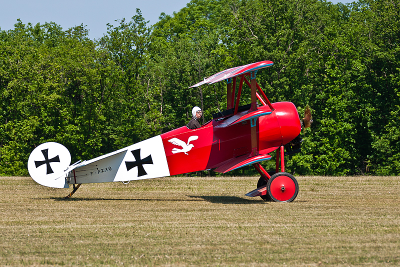 La Ferte Alais 2010 _067.JPG