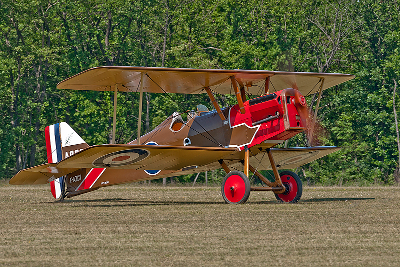 La Ferte Alais 2010 _069.JPG