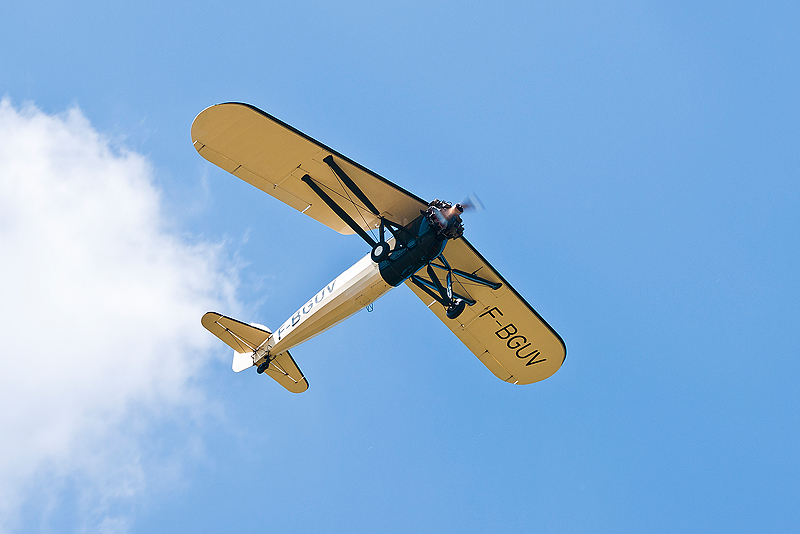 La Ferte Alais 2010 _100.JPG