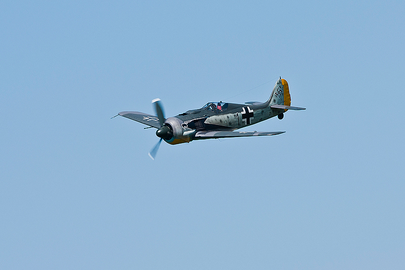La Ferte Alais 2010 _143.JPG