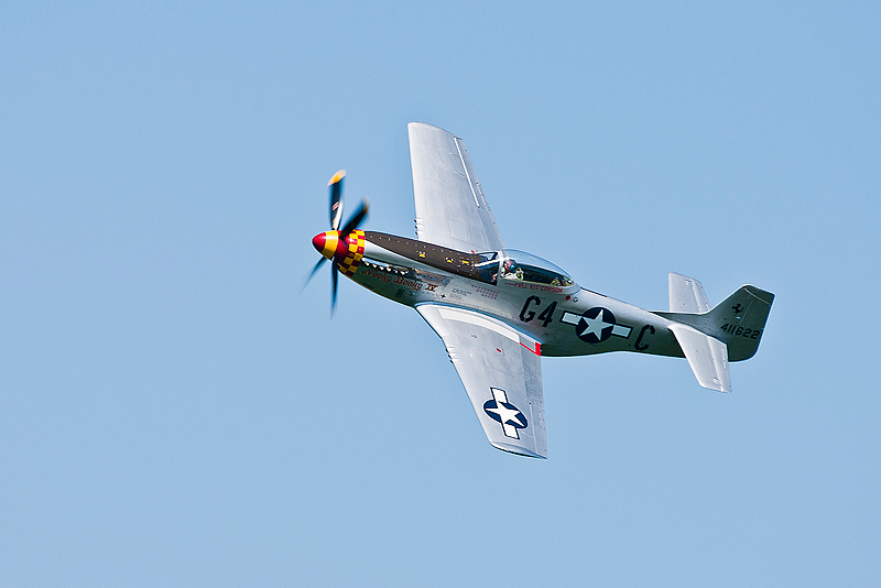La Ferte Alais 2010 _151.JPG
