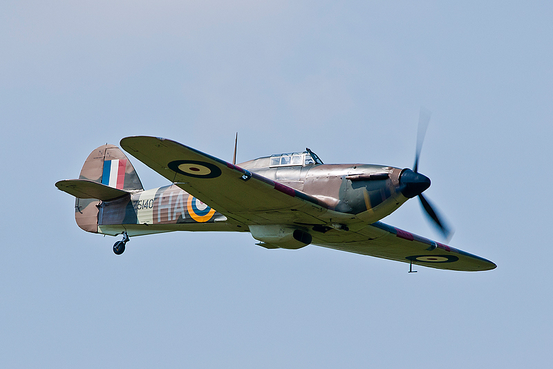 La Ferte Alais 2010 _170.JPG