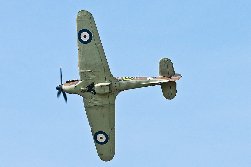 La Ferte Alais 2010 _174.JPG