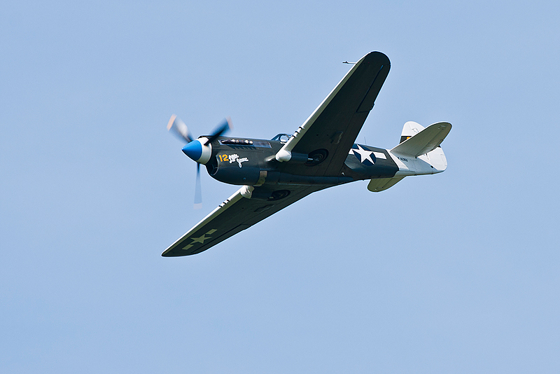 La Ferte Alais 2010 _222.JPG