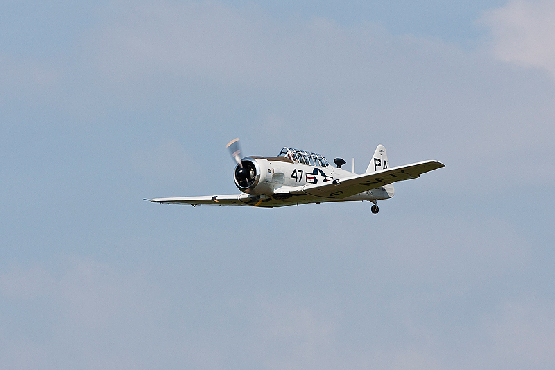 La Ferte Alais 2010 _250.JPG