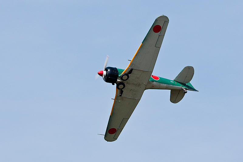 La Ferte Alais 2010 _252.JPG