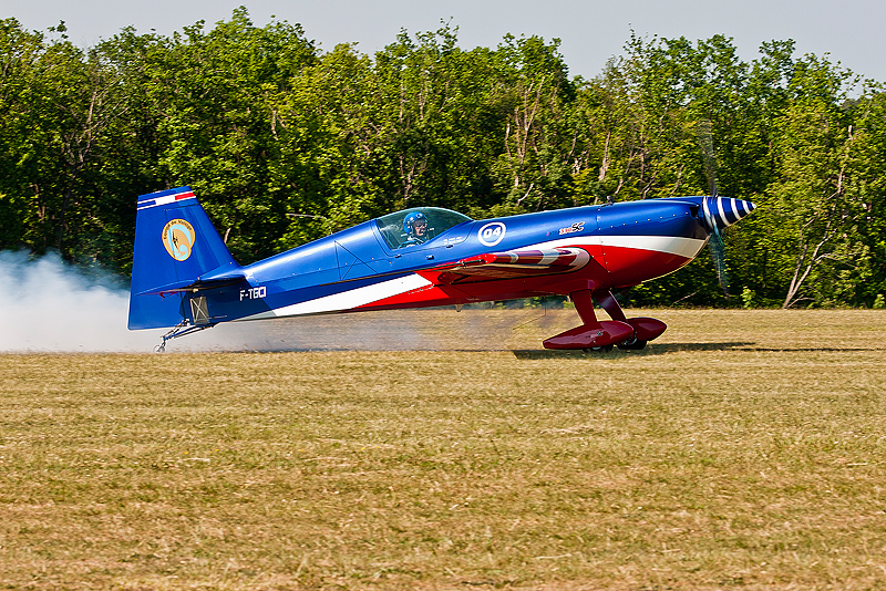 La Ferte Alais 2010 _275.JPG