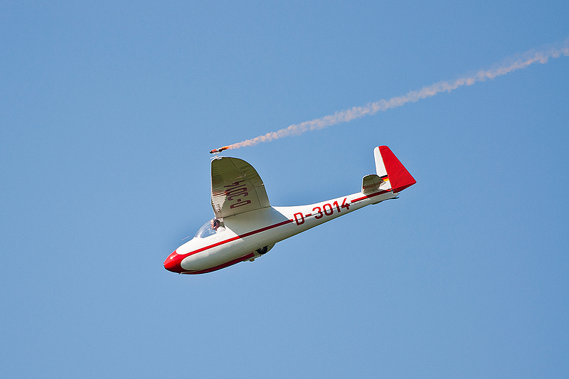 La Ferte Alais 2010 _278.JPG
