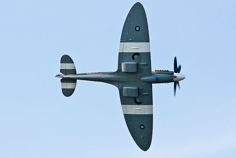 La Ferte Alais 2010 _289.JPG