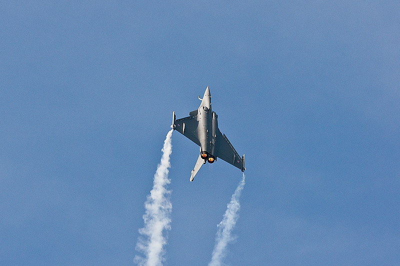 La Ferte Alais 2010 _323.JPG