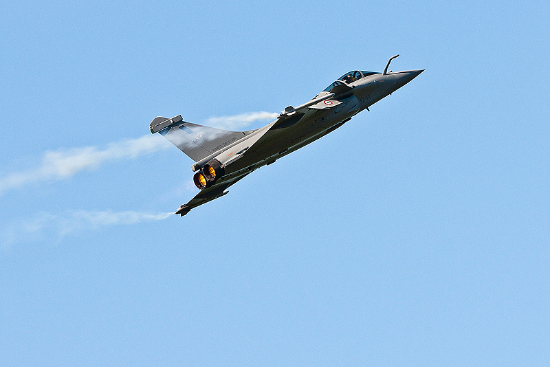 La Ferte Alais 2010 _326.JPG