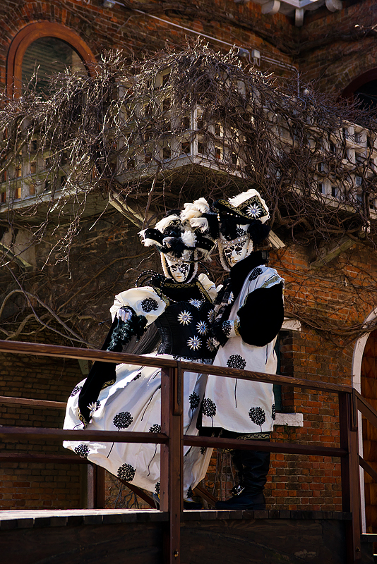 Carnaval Venise 2011_371.jpg