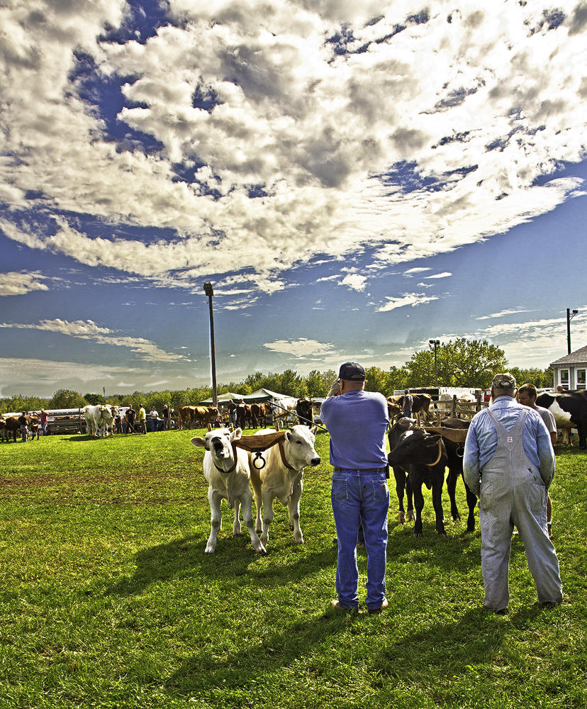 Bethlehem Fair, 2011