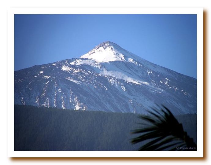 Teide Snow Dec. 17 07.JPG