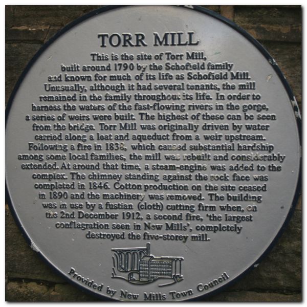 Millennium Bridge Walk