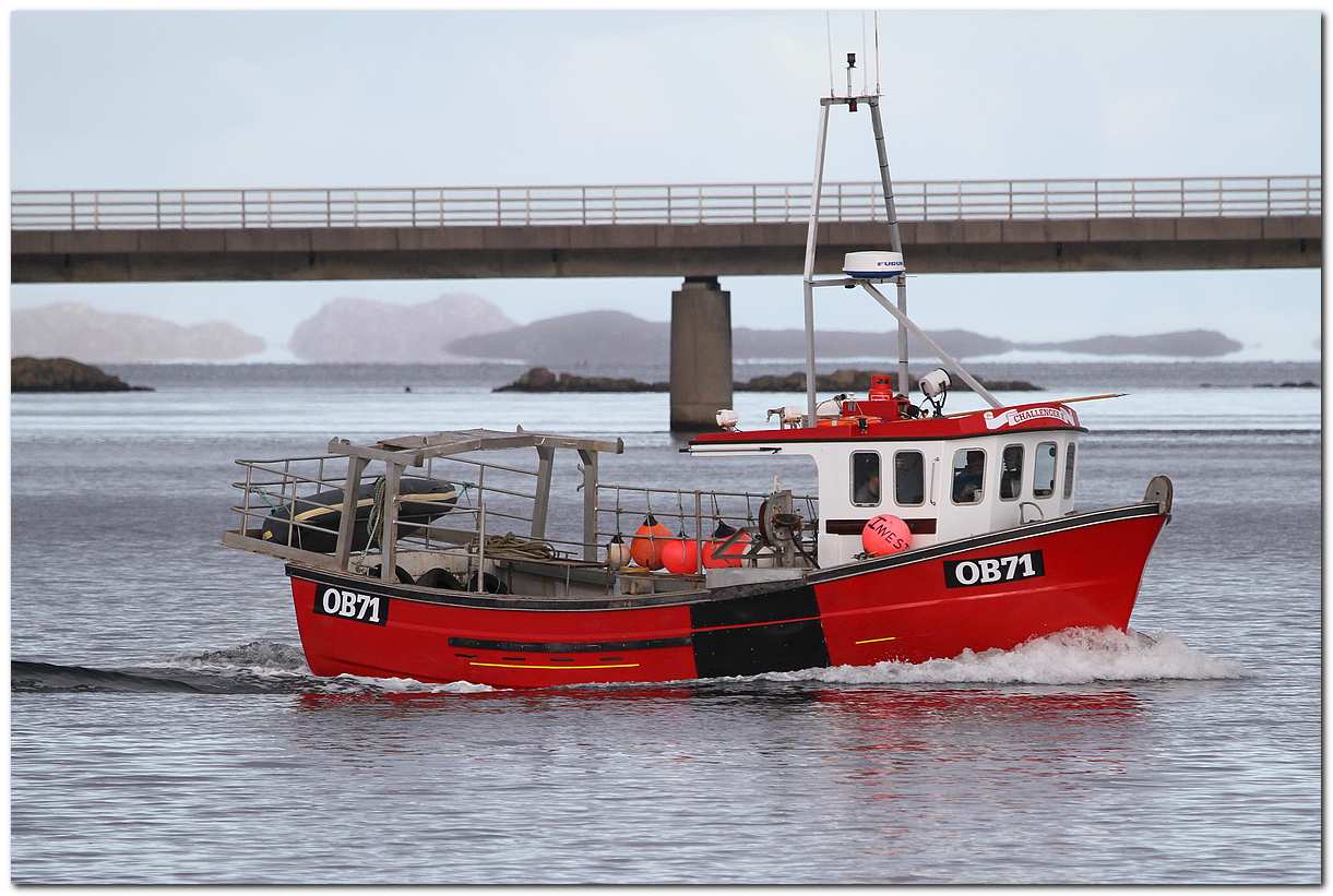 OB71 Challenger II 8107