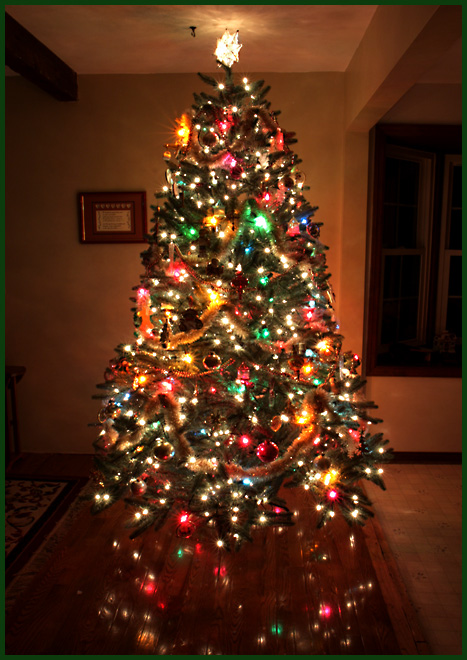 christmas tree 08 web.jpg