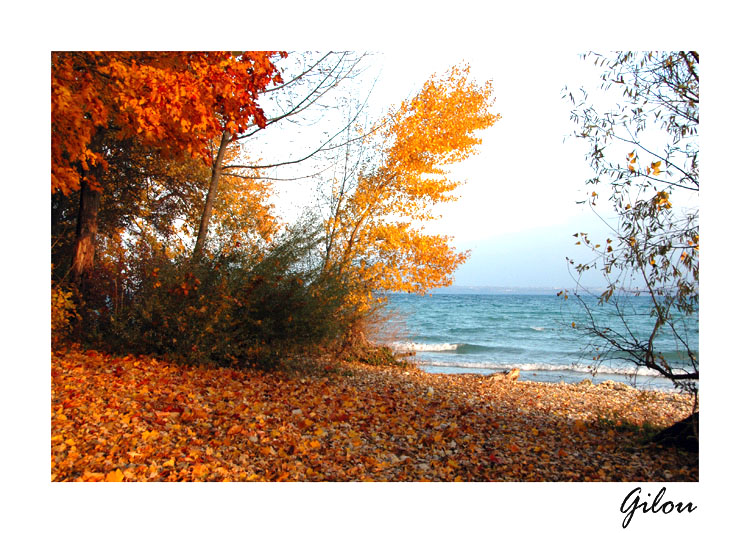 DSC_8995 copie.jpg
