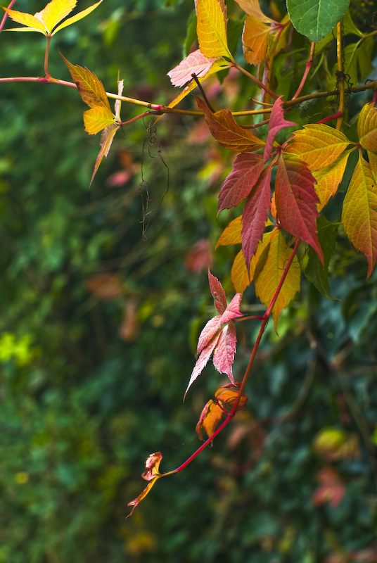 teus__dsc1153.jpg