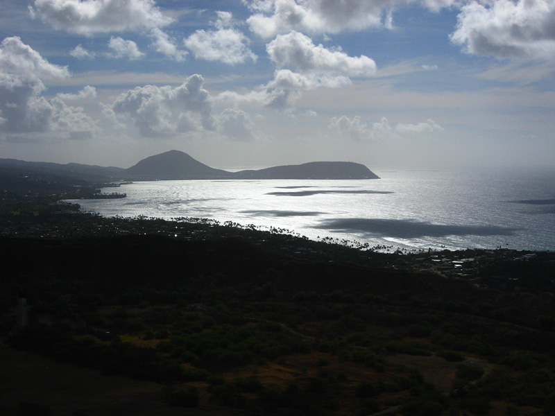 Silvery Ocean