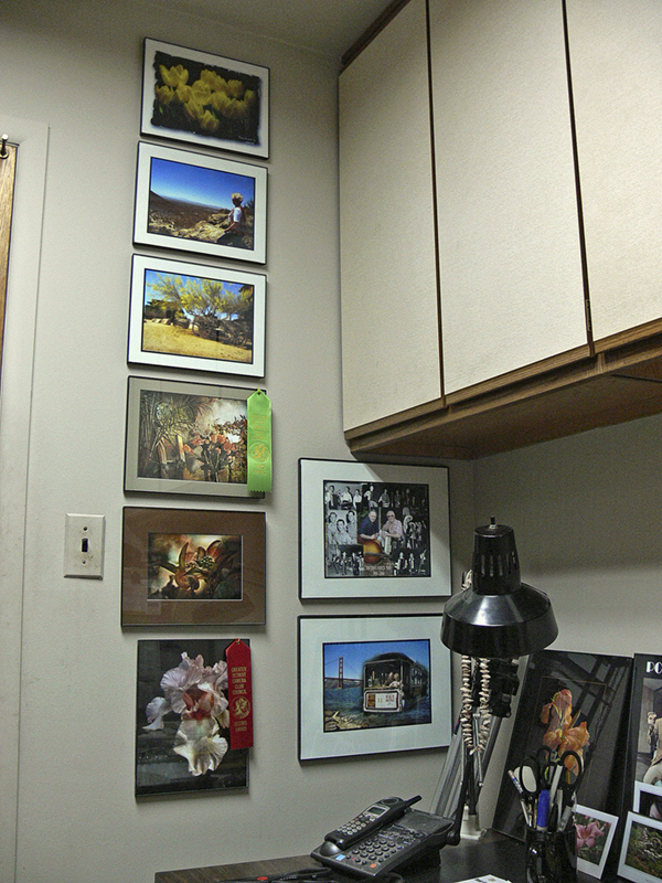 MCS Format Picture Frames.jpg